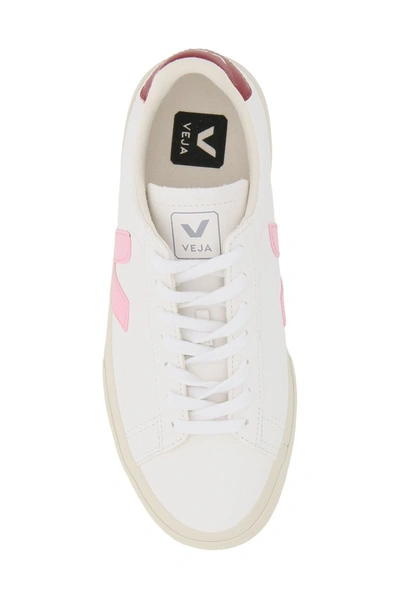 Shop Veja Campo Chromefree Lace In White