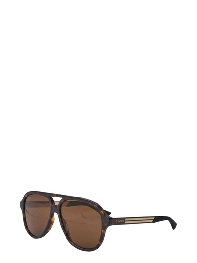 Shop Gucci Eyewear Aviator Sunglasses In Brown