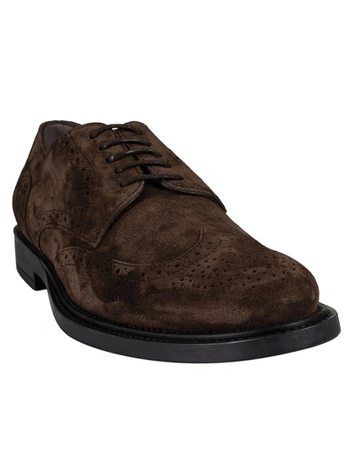 Shop Tod's Lace Up Derby Shoes In Brown