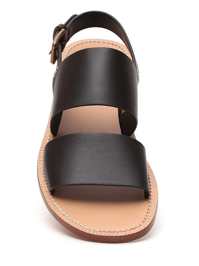 Shop Dolce & Gabbana Double Strap Flat Sandals In Brown