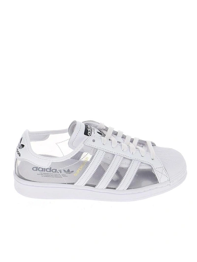 Shop Adidas Originals Superstar Low In White