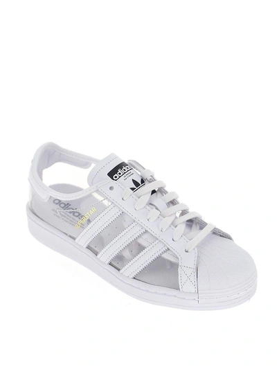 Shop Adidas Originals Superstar Low In White