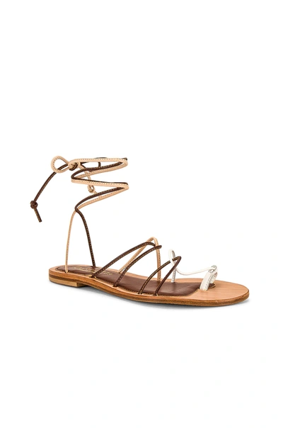 Shop Cornetti Angela Lace Up Sandal In Walnut & Natural