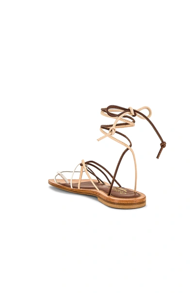 Shop Cornetti Angela Lace Up Sandal In Walnut & Natural