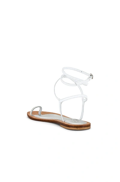 Shop Cornetti Orri Sandal In White