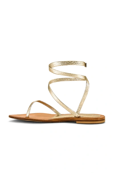 Shop Cornetti Coccorocci Sandal In Gold Python