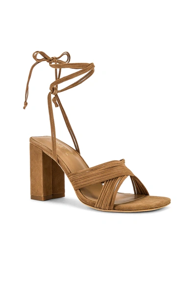 Shop Raye Gian Heel In Tan