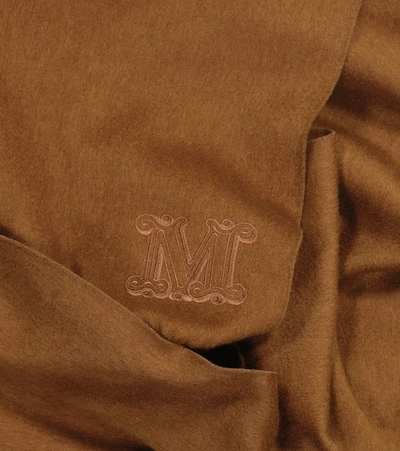 Shop Max Mara Wsdalia Cashmere Scarf In Brown