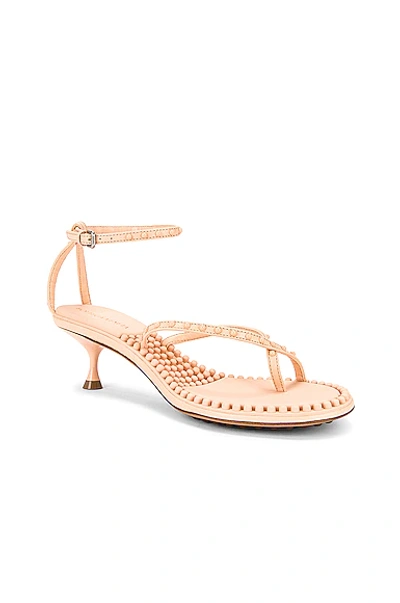 Bottega Veneta Dot 55mm Leather Bubble Crisscross Sandals In Macaroon