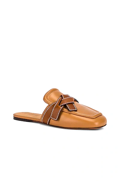 Shop Loewe Gate Flat Mule In Desert & Tan