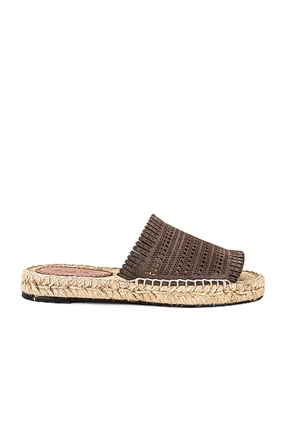 Alaïa Laser-cut Leather Espadrille Sandals In Tourterelle