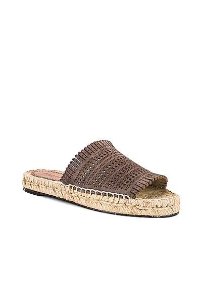 Shop Alaïa Leather Laser Cut Flat Espadrilles In Tourterelle