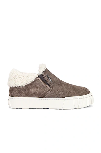 Shop Miu Miu Suede Slip On Sneakers In Ghiaia & Natural