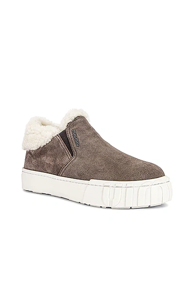 Shop Miu Miu Suede Slip On Sneakers In Ghiaia & Natural