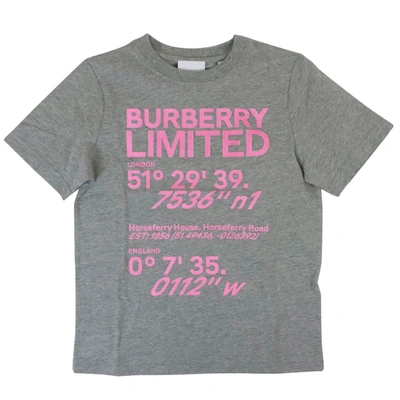 Shop Burberry Brush T-shirt In Melange Grey