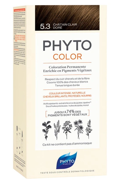 Shop Phyto Color Permanent Hair Color In Light Golden Brown