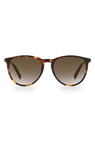 Shop Levi's 54mm Gradient Mirrored Round Sunglasses In Havana/ Brown Gold