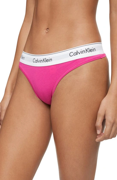 Shop Calvin Klein Logo Thong In Party Pink