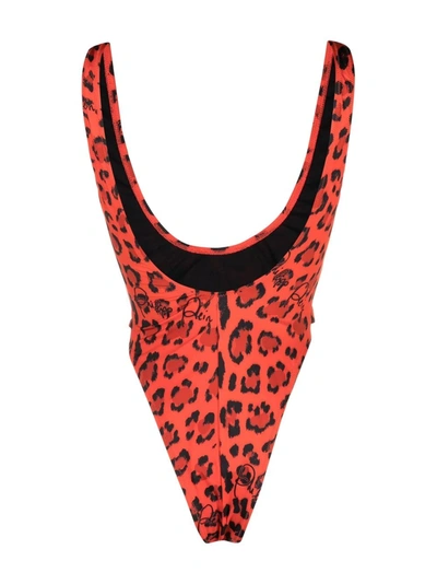 Shop Philipp Plein Leopard-print Swimsuit In Red