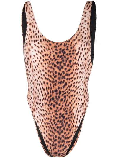 Shop Reina Olga Tiger-print Swimsuit In Braun