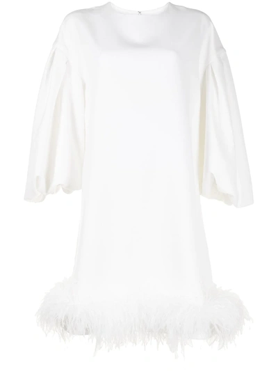 Shop Huishan Zhang Poppy Feather-trim Dress In Weiss