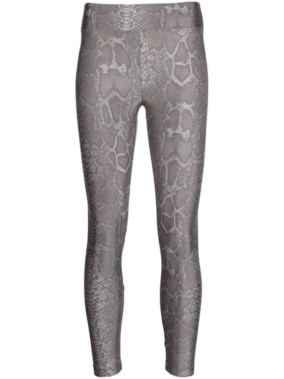 Shop Koral Snakeskin-print Stretch Leggings In Grau