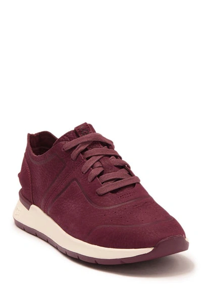 Shop Ugg Adaleen Sneaker In Wild Grape Nubuck Leather