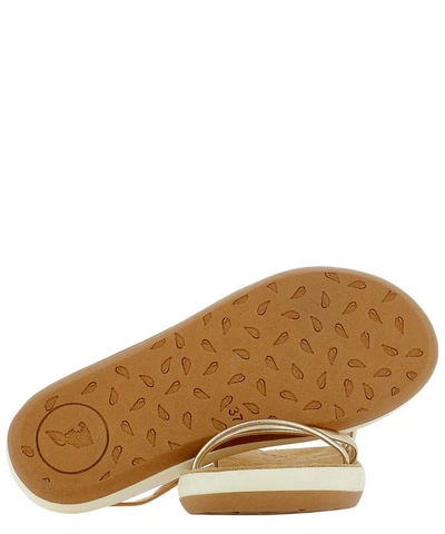 Shop Ancient Greek Sandals "anastasia Comfort" Sandals In Gold