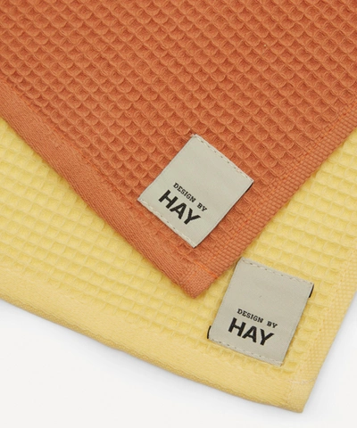 Shop Hay Waffle Dish Cloths Set Of Two In Multicolour