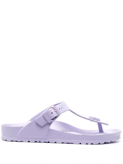 Birkenstock Gizeh Eva Jelly Sandals In Violett