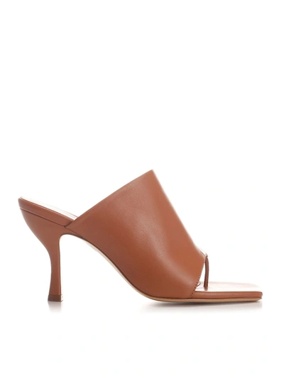 Shop Gia Couture Perni 02 Thong Mules In Brown