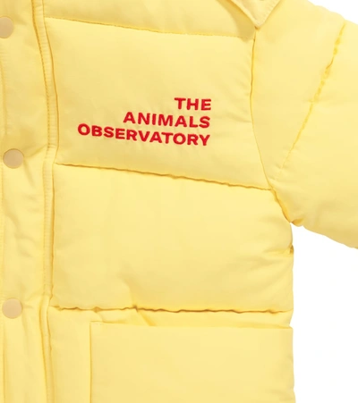 Shop The Animals Observatory Lemur Cotton-blend Puffer Jacket In Yellow