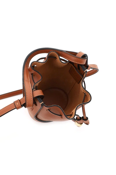 Shop Loewe Balloon Nano Bucket Bag In Brown