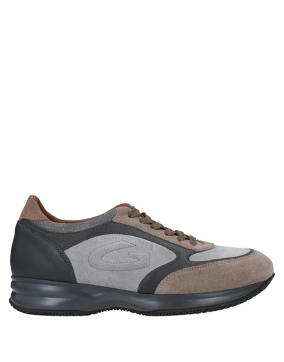 Shop Alberto Guardiani Sneakers In Grey