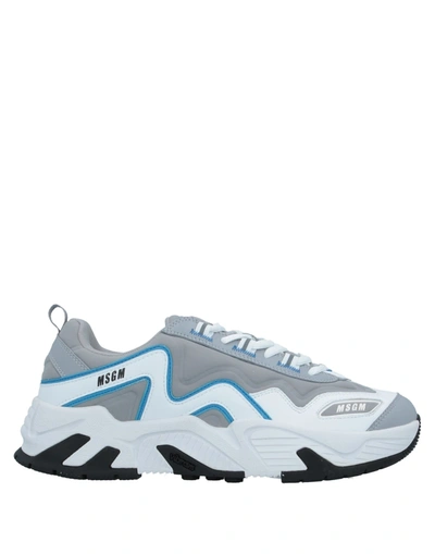 Shop Msgm Sneakers In Light Grey