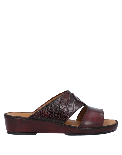 Shop Pakerson Sandals In Maroon