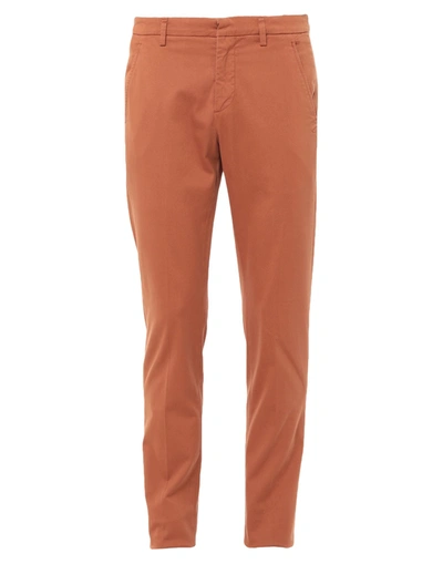 Shop Dondup Man Pants Tan Size 31 Cotton, Elastane In Brown