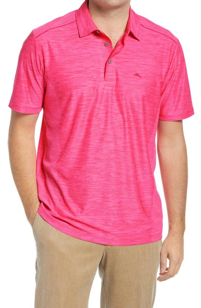 Shop Tommy Bahama Palm Coast Classic Fit Polo In Electric Coral