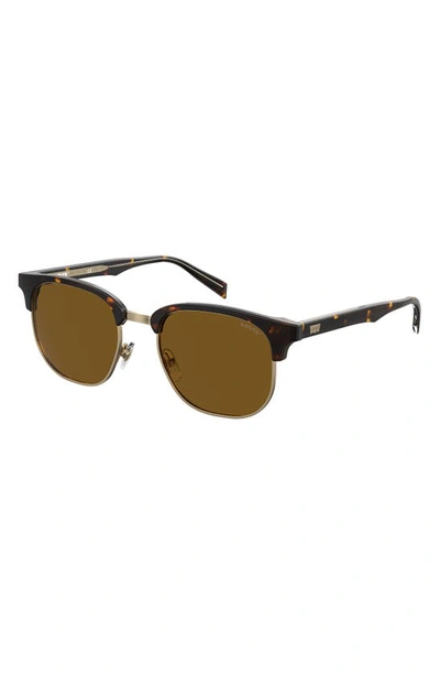 Shop Levi's 52mm Round Sunglasses In Havana/ Brown