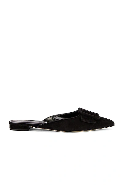 Shop Manolo Blahnik Maysale Flat In Black