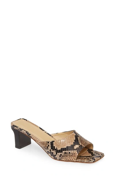 Shop Aeyde Katti Slip-on Sandal In Natural Snake Print