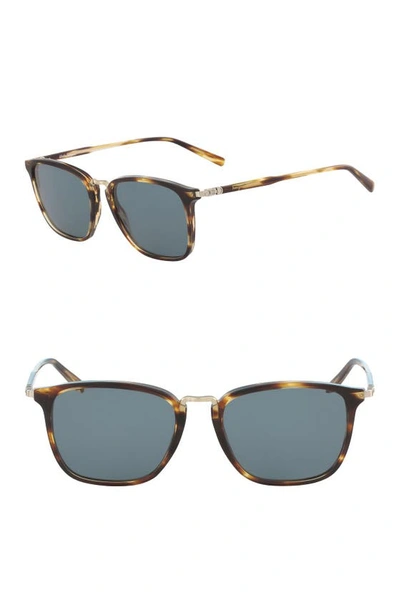 Shop Ferragamo 54mm Square Sunglasses In Striped Brown