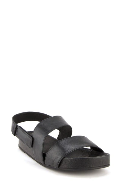 Shop Eileen Fisher Curve Sandal In Black Leather