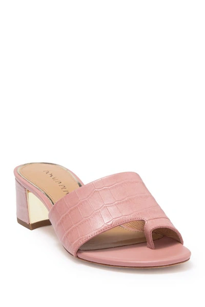 Shop Donald Pliner Melros Slide Sandal In Rose Leather