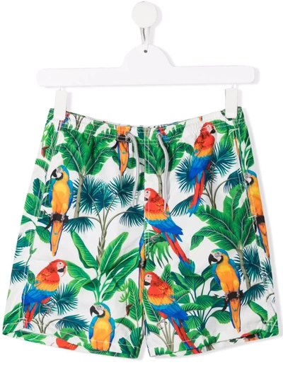 Shop Mc2 Saint Barth Teen Parrot-print Swimming Trunks In Green