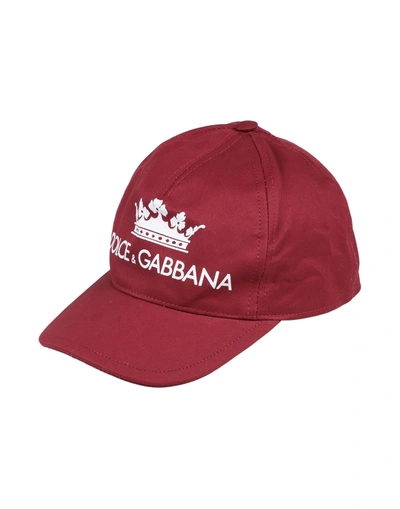 Shop Dolce & Gabbana Hats In Maroon