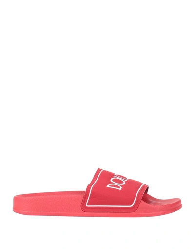 Shop Dolce & Gabbana Sandals In Red