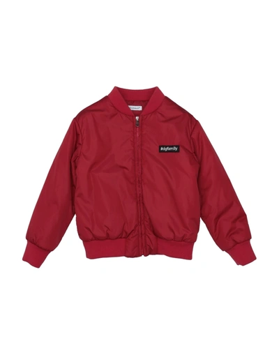 Shop Dolce & Gabbana Toddler Girl Jacket Red Size 7 Polyamide