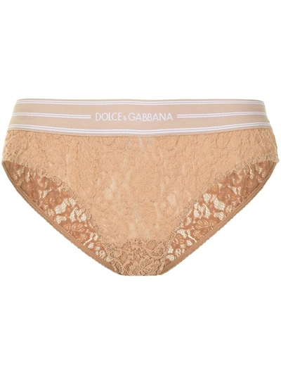 Shop Dolce & Gabbana Logo-waistband Lace Briefs In Brown