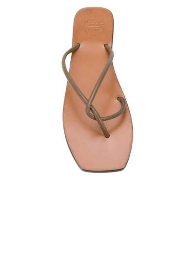 Shop Atp Atelier Alessano Khaki Brown Nappa Sandals